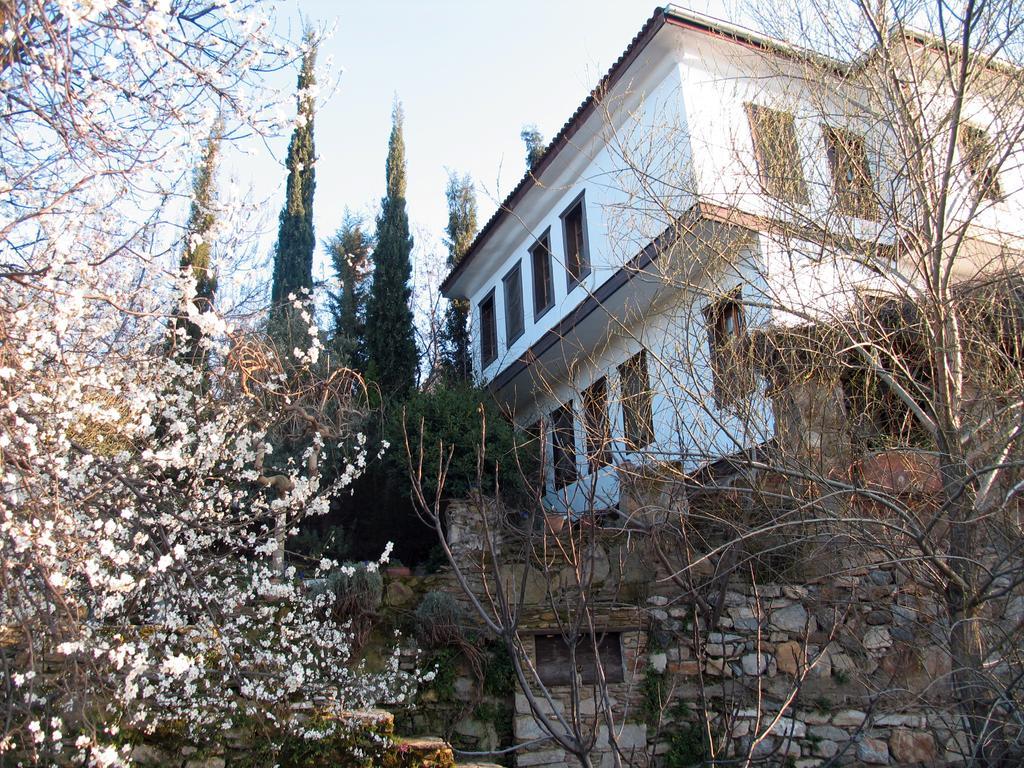 Nisanyan Hotel Selçuk Eksteriør billede