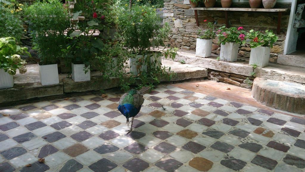 Nisanyan Hotel Selçuk Eksteriør billede