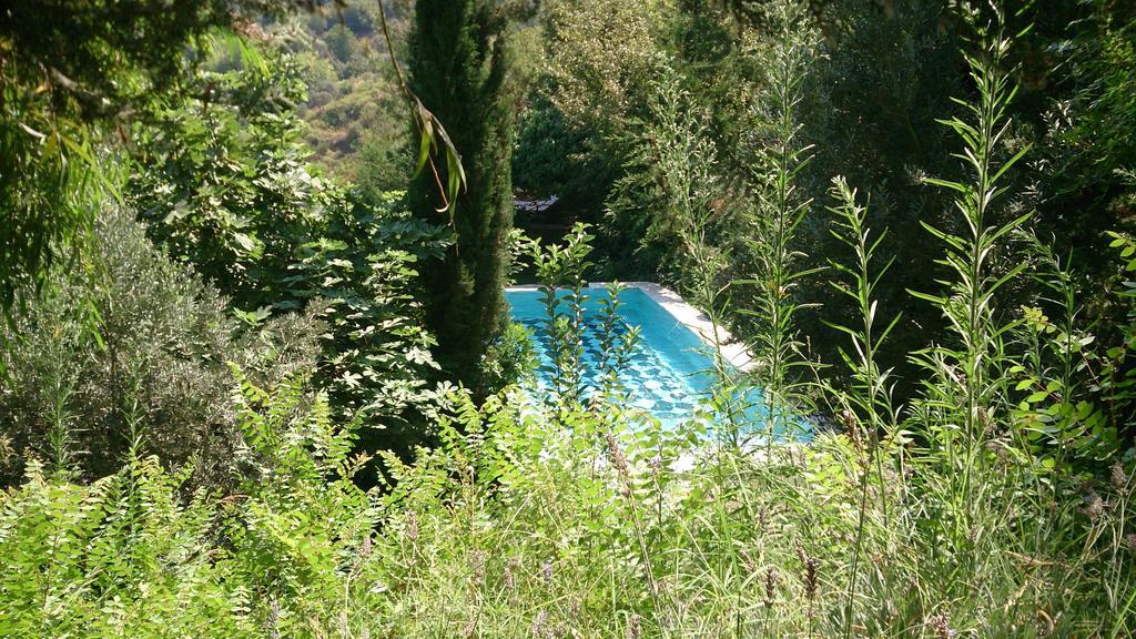 Nisanyan Hotel Selçuk Eksteriør billede